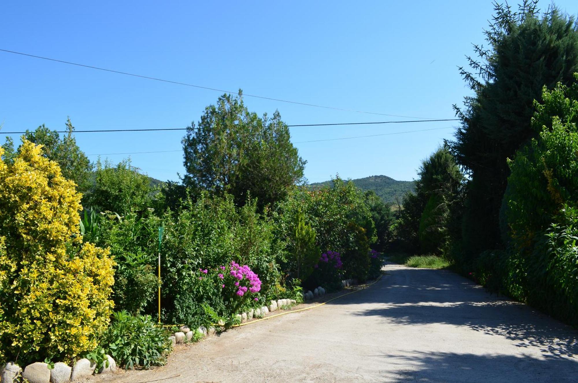 Casa Rural La Vall Del Cadi Сео-де-Уржель Экстерьер фото